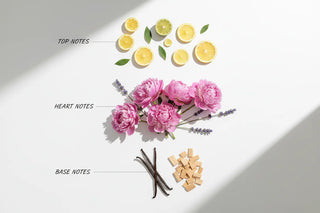 Best Types of Inspired-by Fragrances Best Types of Inspired-by Fragrances hkPERFUMES hkPERFUMES