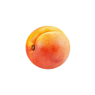 Apricot fragrance oil - hkPERFUMES