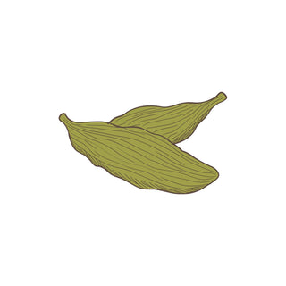 Cardamom hkPERFEUMS
