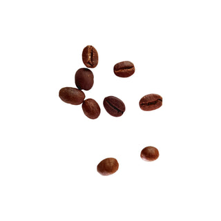 Coffee hkPERFEUMS