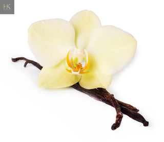 Vanilla Reverie discovery Set - hkPERFUMES