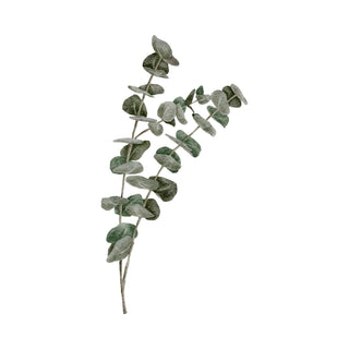 Eucalyptus fragrance oil hkPERFEUMS