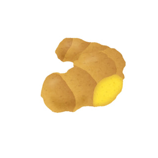 Ginger hkPERFEUMS