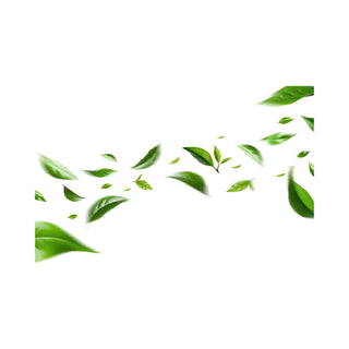 Green Tea hkPERFEUMS