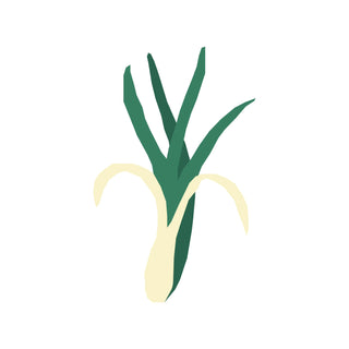 Lemon Grass fragrance oil hkPERFEUMS