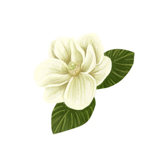 Magnolia hkPERFEUMS