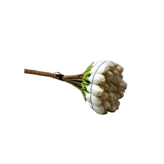Mashmoum hkPERFEUMS